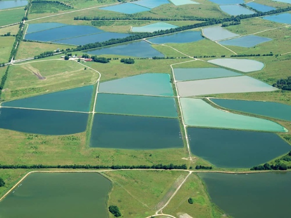 aquaculture pond liners